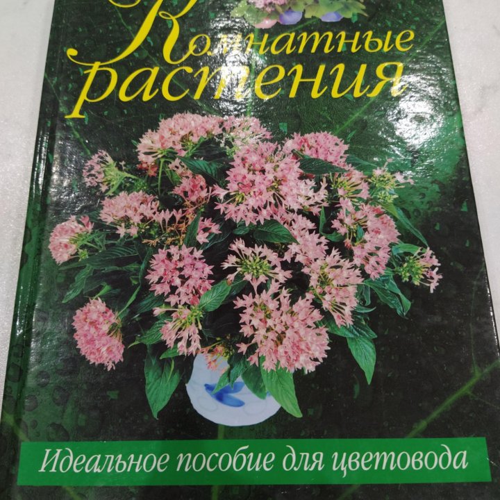 Комнатные растения