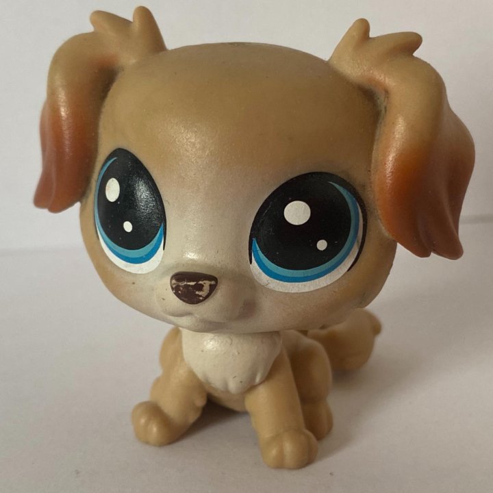 Littlest Pet Shop