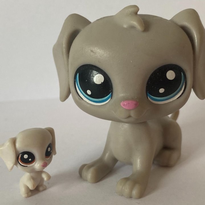 Littlest Pet Shop