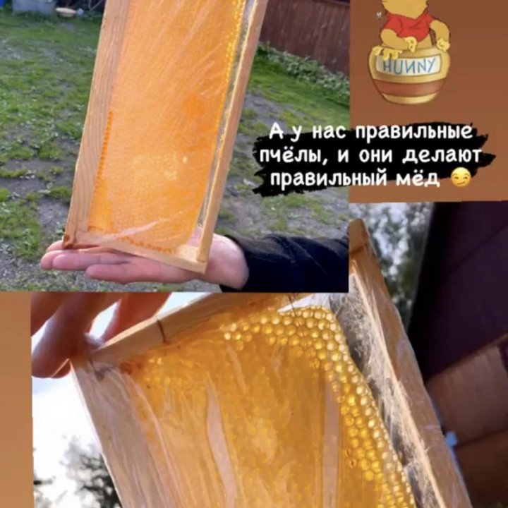 Мед с собственной пасеки