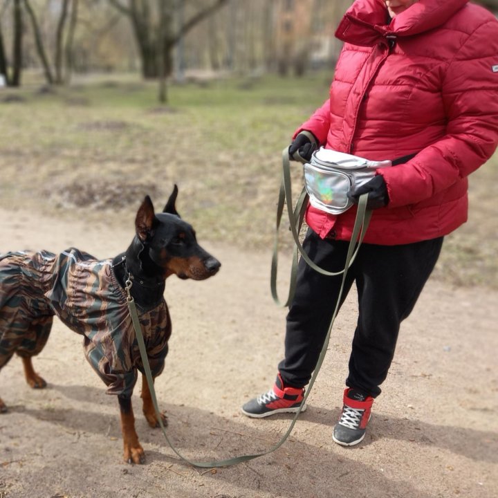 Услуги кинолога, передержка.