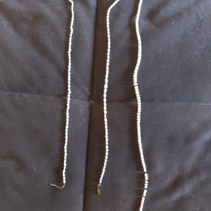 Жемчуг речной