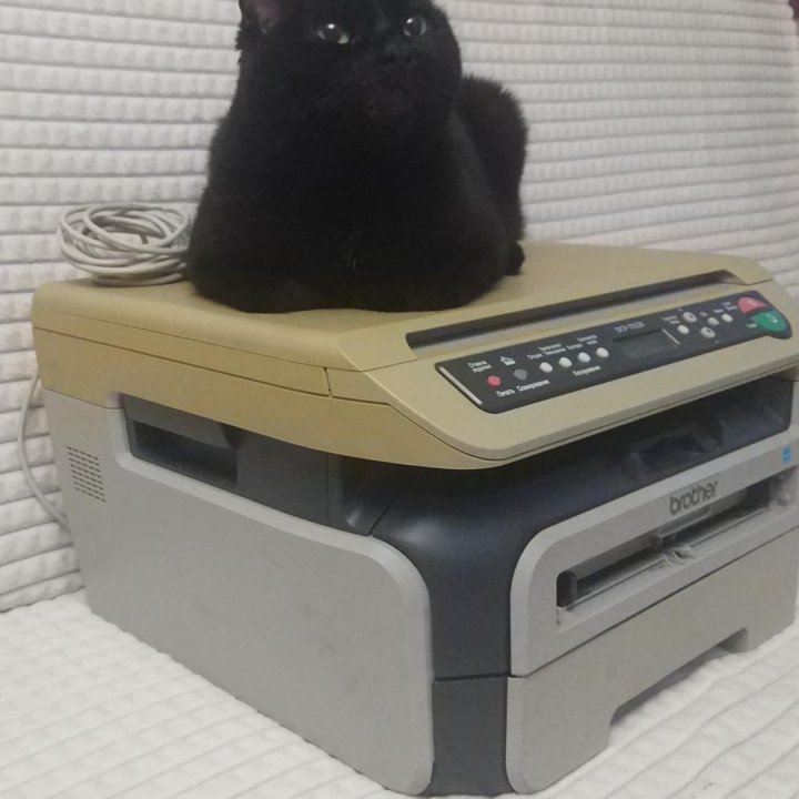 Принтер, сканер Brother