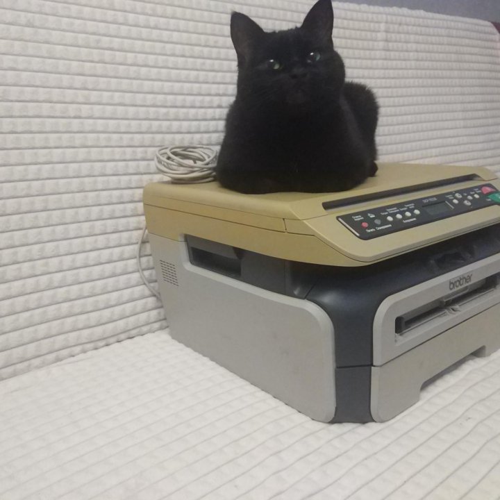 Принтер, сканер Brother