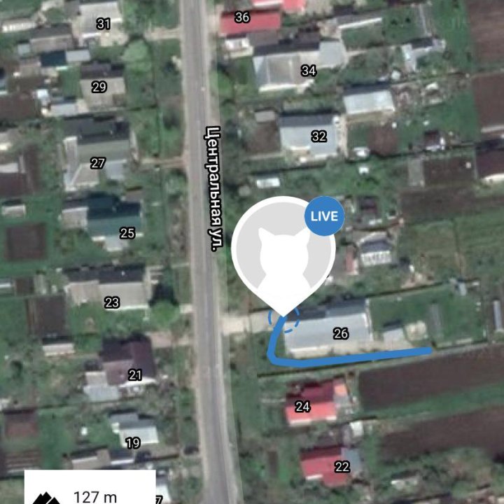 GPS ошейник трекер