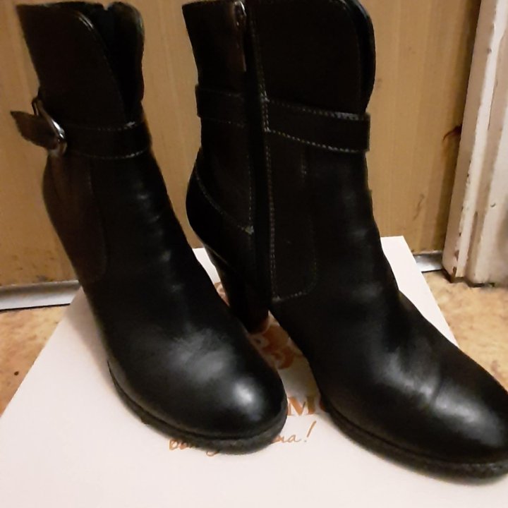 Сапоги осень