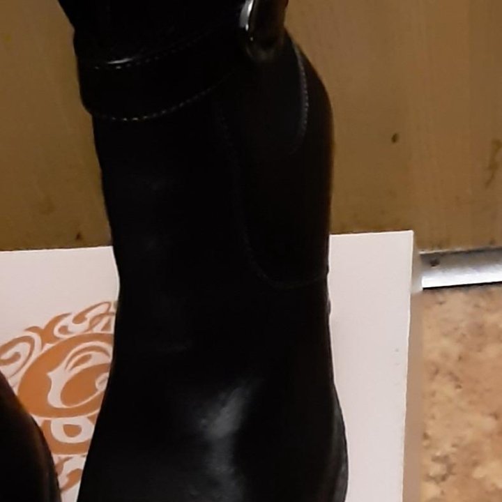 Сапоги осень