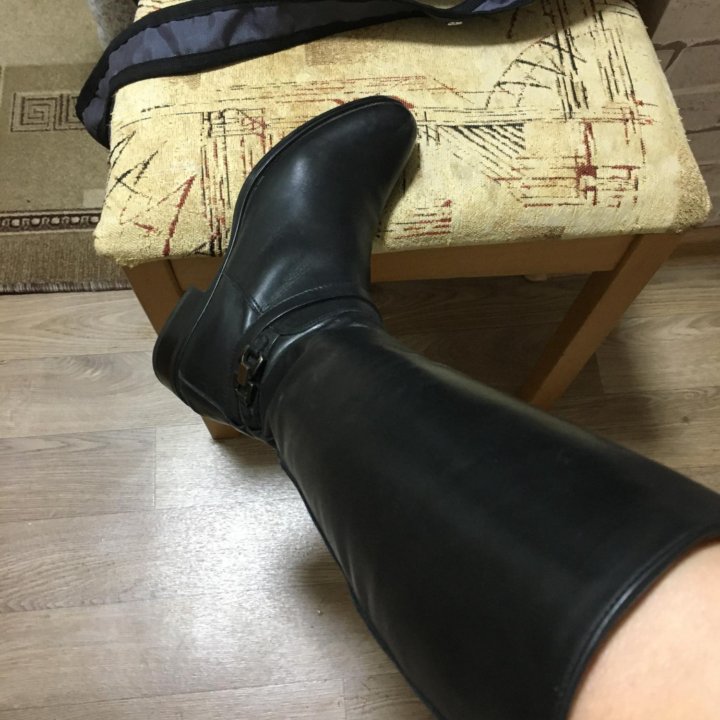 Сапоги Масскоте