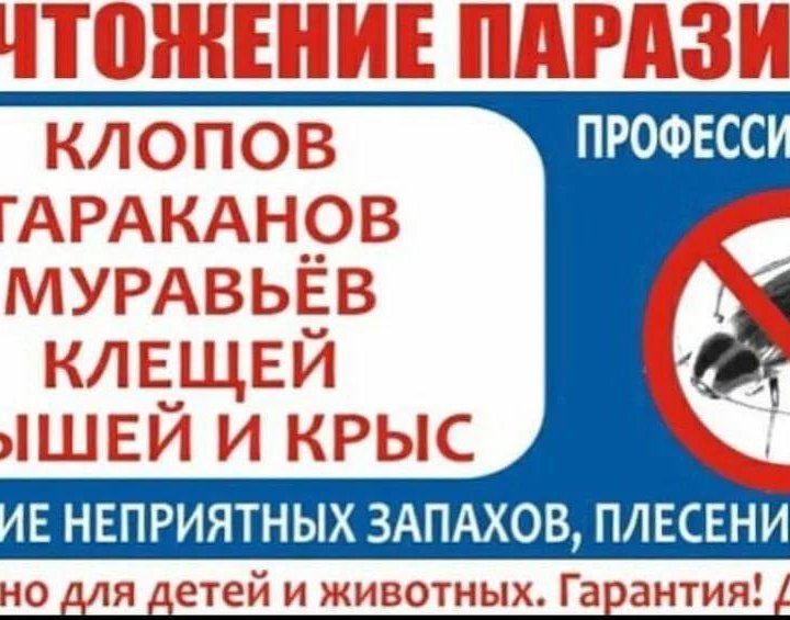 Клопы-тараканы - Услуги дезинфектора