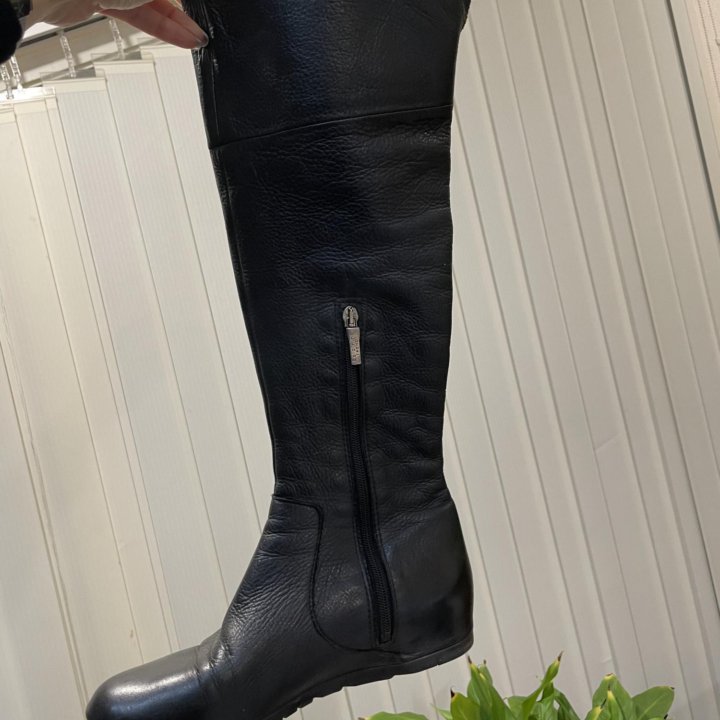 Сапоги Baldinini