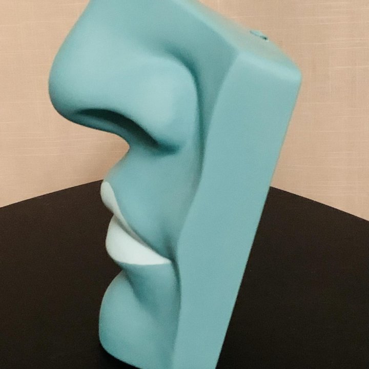 Нос с губами Давида (дизайн / статуя)