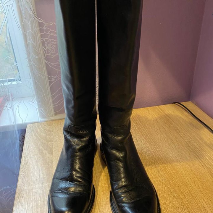 Сапоги Boldinini