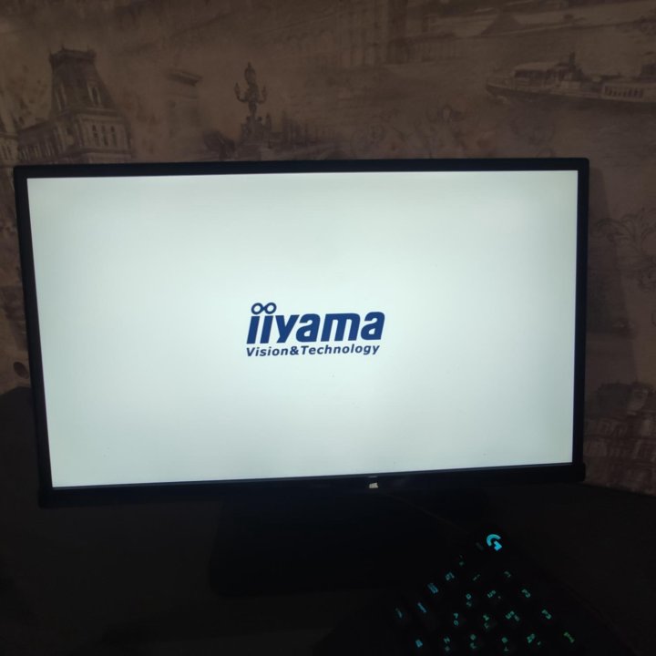 Монитор iiyama