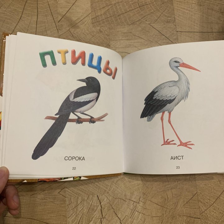 Книга