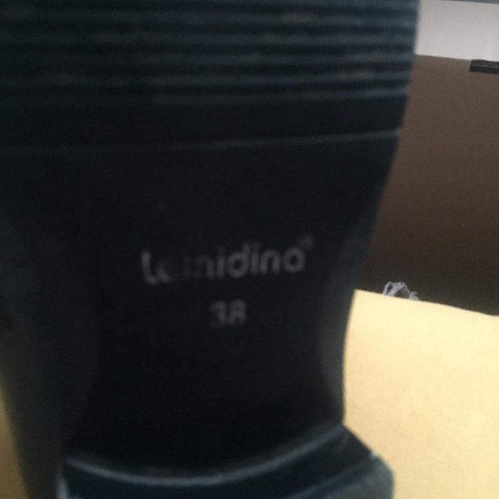 Сапоги деми