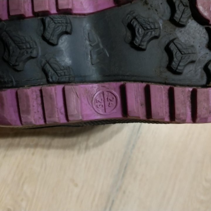 Сноутбутсы зима