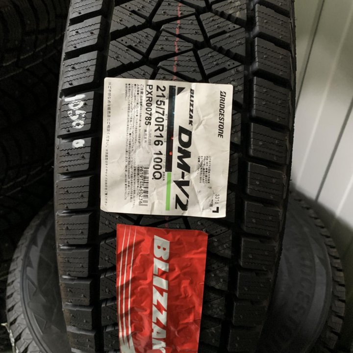 Bridgestone DM-V2