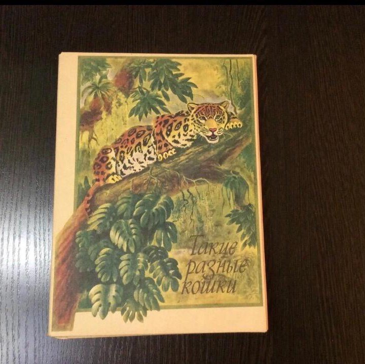 Набор спичек СССР