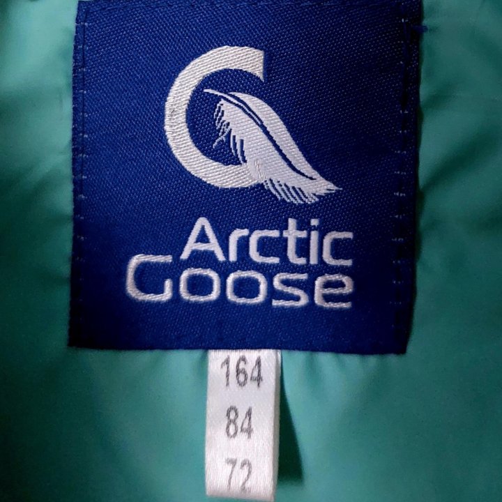 Пуховик Arctic Goose, размер 164, цвет хамелеон