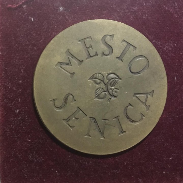 Чехословакия. Медаль 1969 года. MESTO SENICA.