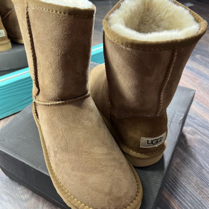 Угги UGG Australia