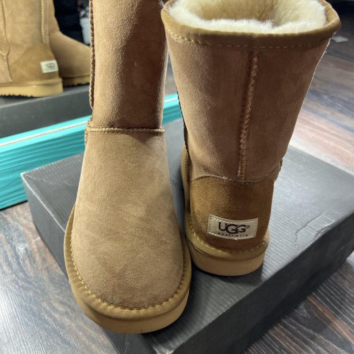 Угги UGG Australia