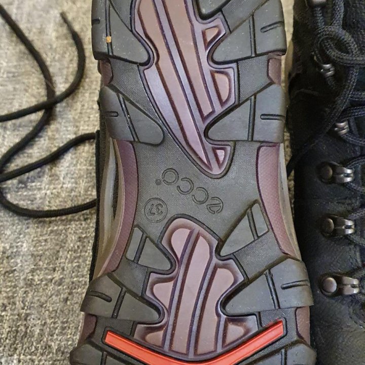 Зимние ботинки Ecco Terra VG