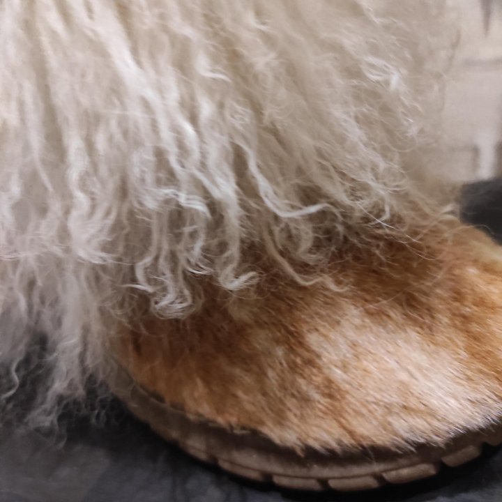 Унты из ламы