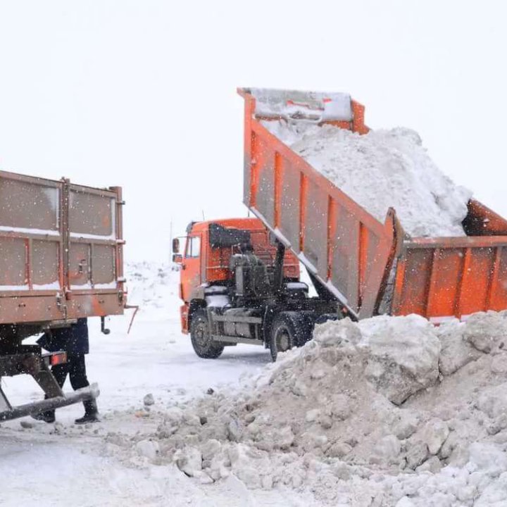 Вывоз снега с погрузкой