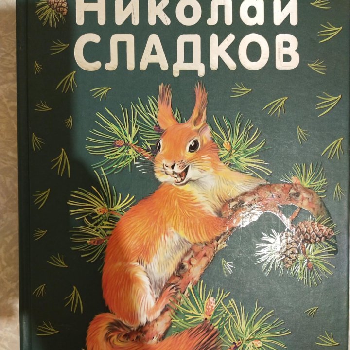 Сказки.