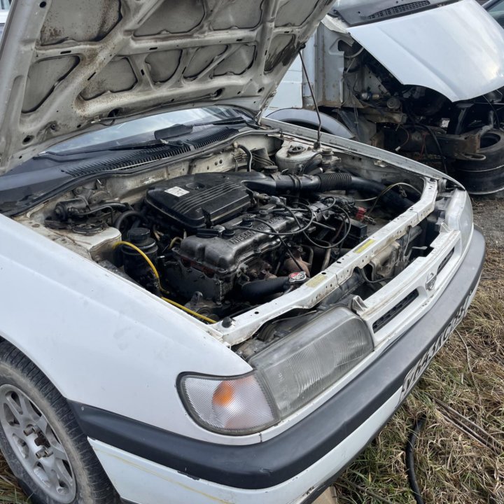 NISSAN SUNNY N14 1.6 GA16 Разбор