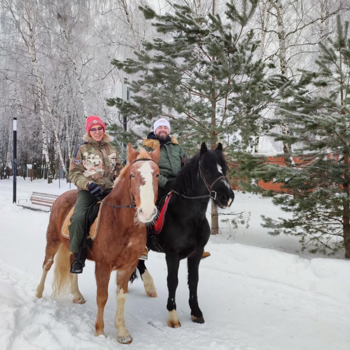 Конные прогулки в Усадьбе Быково