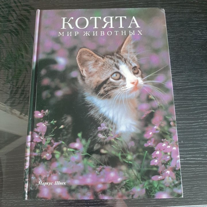 Книга Мир животных Котята