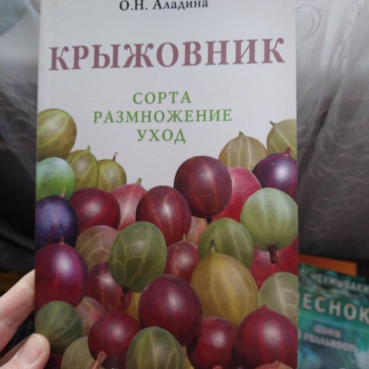 Садовая земляника. Крыжовник