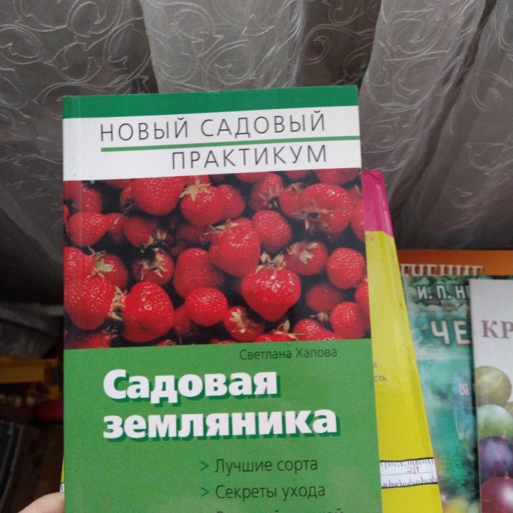 Садовая земляника. Крыжовник