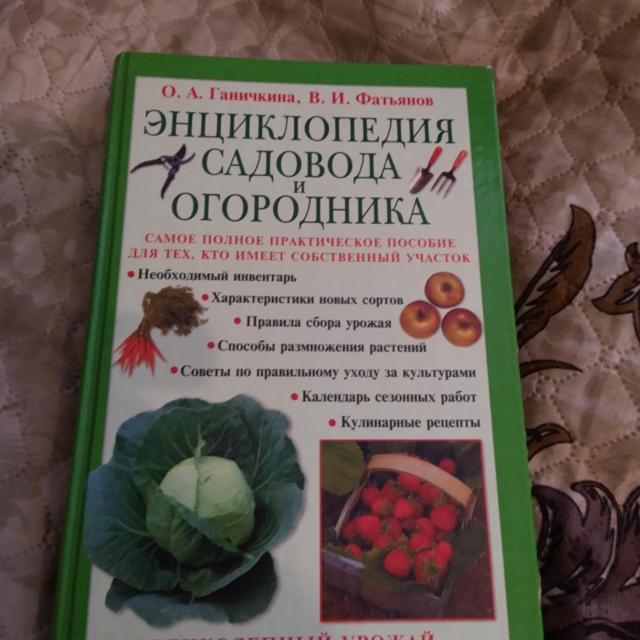 Садовая земляника. Крыжовник