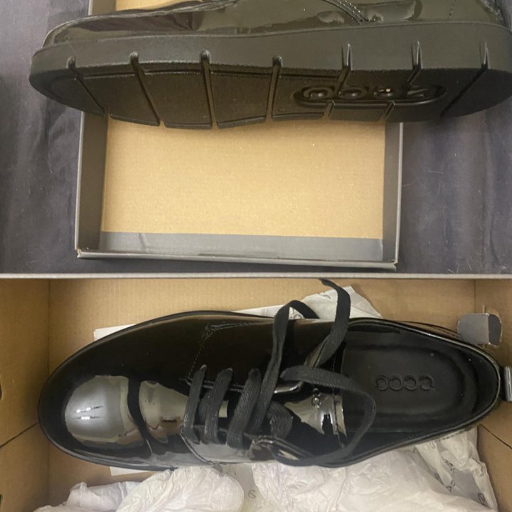 Ботинки Massimo Dutti Ecco