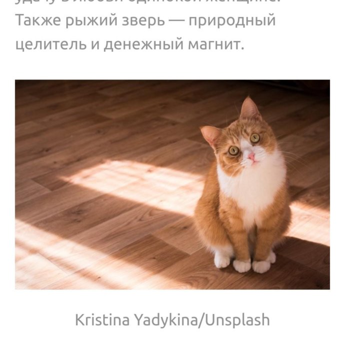 Картина ,,Кот учёный,,