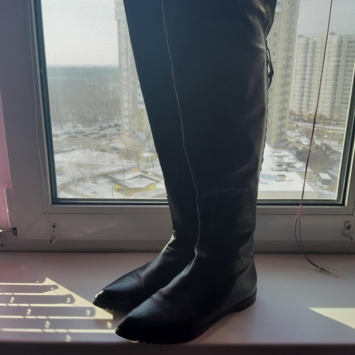 Ботфорты Baldinini