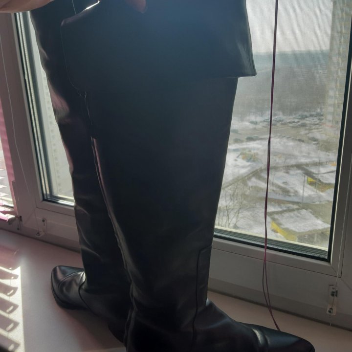 Ботфорты Baldinini