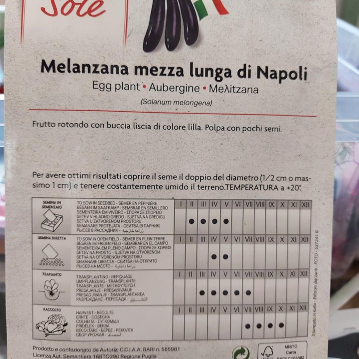 Семена баклажан 2 вида Италия