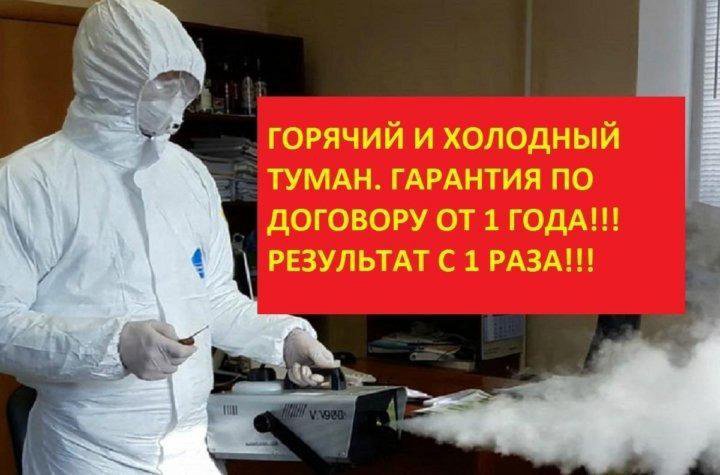 Уничтожение клопов, травить тараканов. Дезинфекция