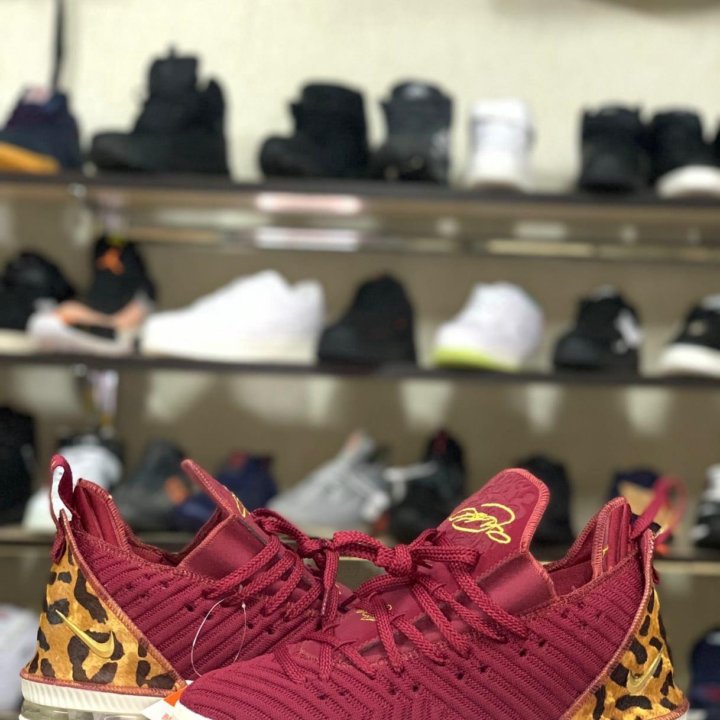 Кроссовки Nikе Lebron 16