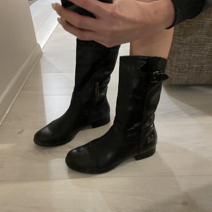 Сапоги Paole Conte