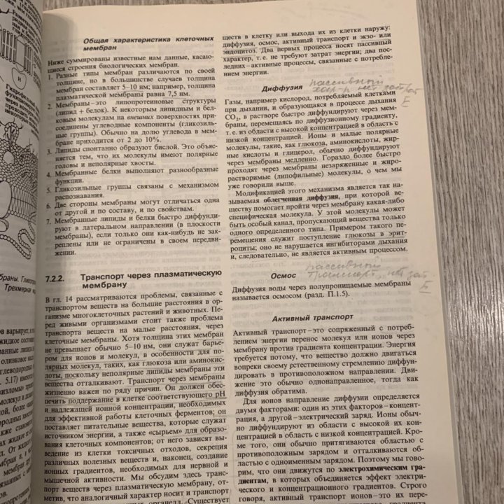 Учебники по биологии.Грин,Стаут,Тейлор