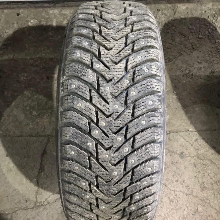 205/60R16 Nokian Nordman 8 (№4256)