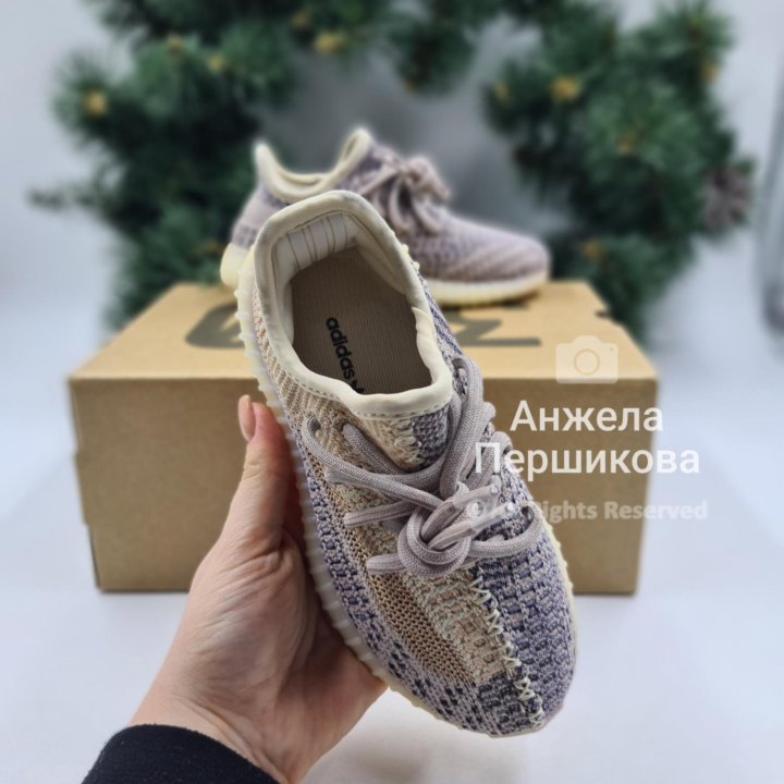 Yeezy Boost 350 Kids 