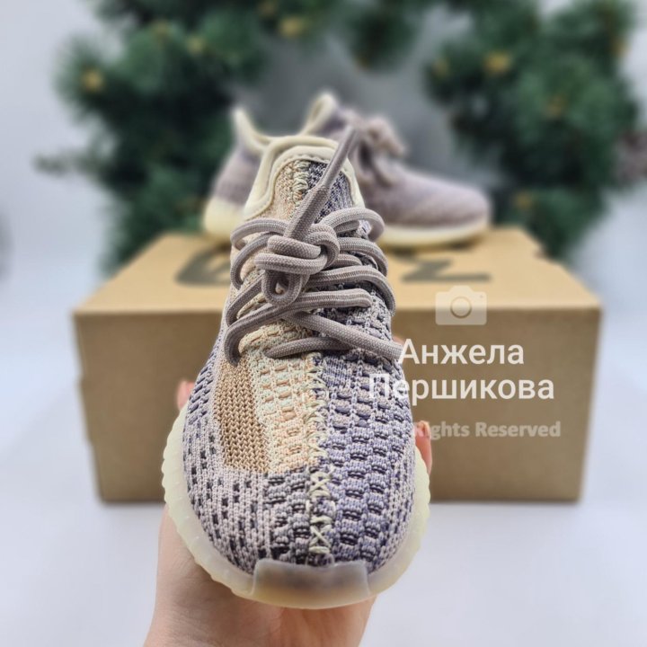 Yeezy Boost 350 Kids 