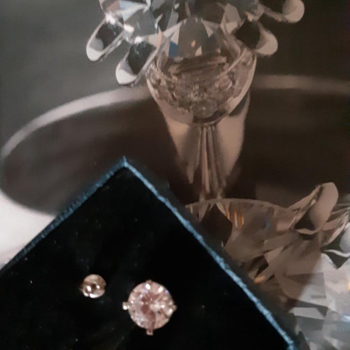 Пуссеты серебро