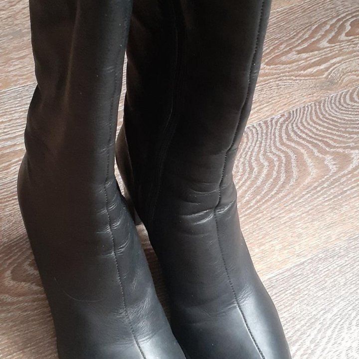 Сапоги демисезонные